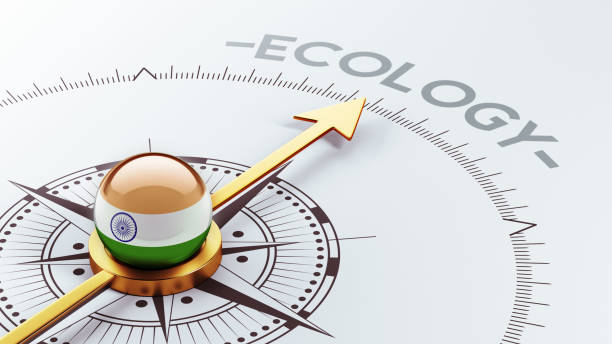 Eco Friendly Initiatives by NGOs in India