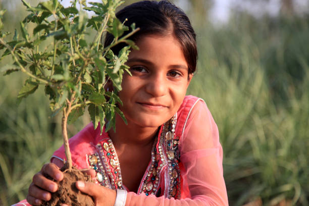 Indian NGO for Tree Plantation and Clean India