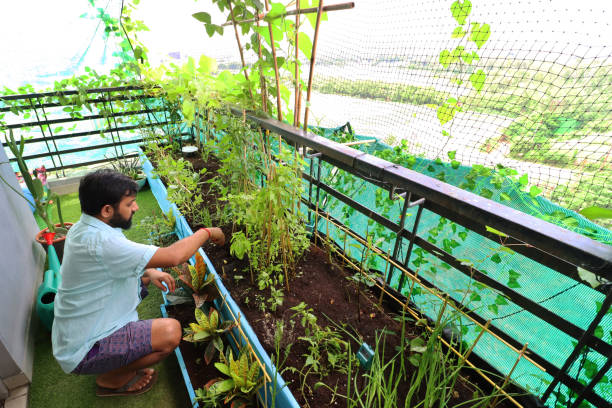 NGOs Encouraging Rooftop Gardening in Cities