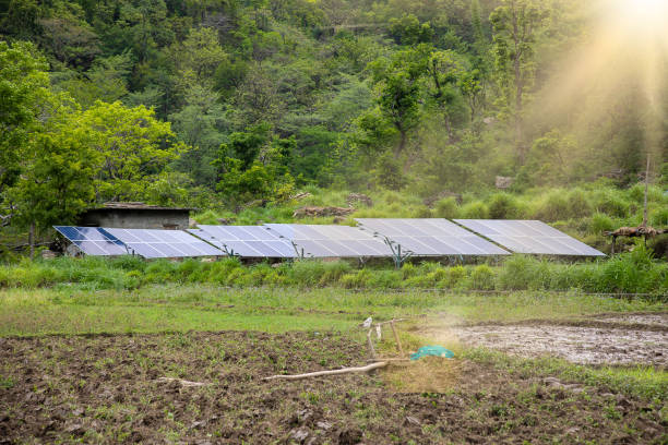 NGOs Running Clean Energy Projects in Villages