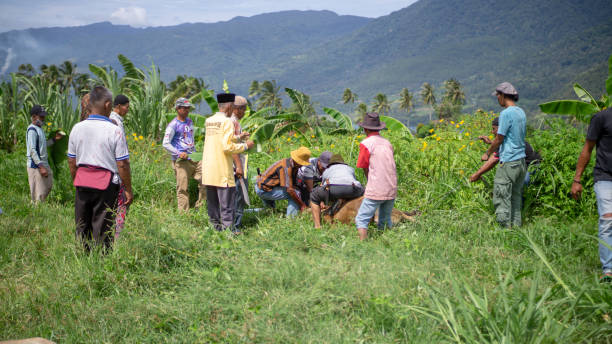 NGOs Training Farmers in Organic Practices