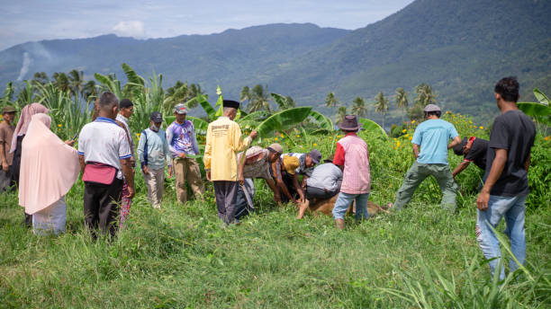 NGOs Training Farmers in Organic Practices: Empowering Sustainable Agriculture