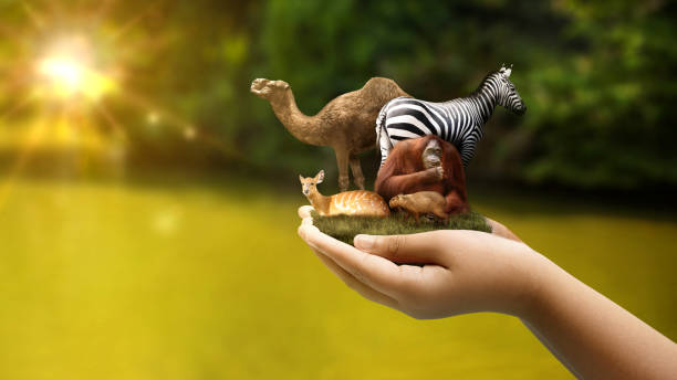 Role of NGOs in Protecting Endangered Species