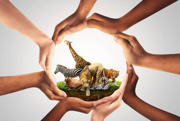 Role of NGOs in Protecting Endangered Species