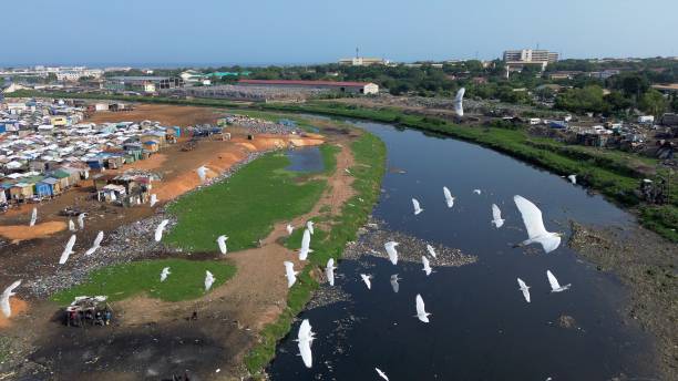 Role of NGOs in River Rejuvenation Campaigns