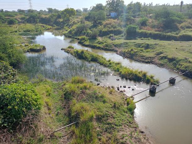 Role of NGOs in River Rejuvenation Campaigns