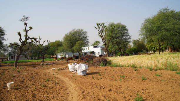 Rural Development Projects by NGOs in India