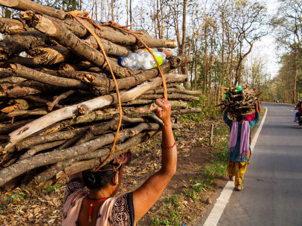 Wildlife and Forest Protection by Indian NGOs