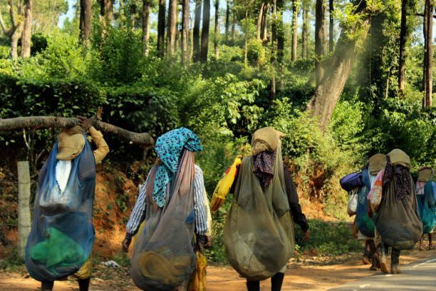 Wildlife and Forest Protection by Indian NGOs