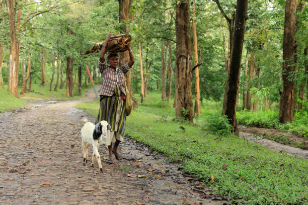 Wildlife and Forest Protection by Indian NGOs